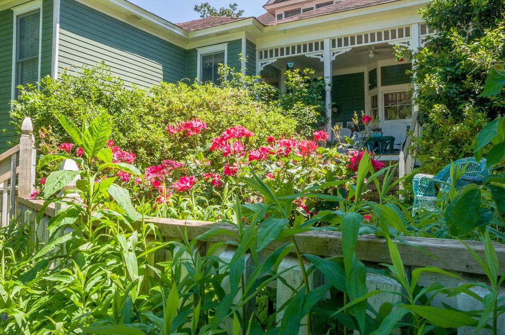 Bed and Breakfast Holly House Of Hamilton Esterno foto