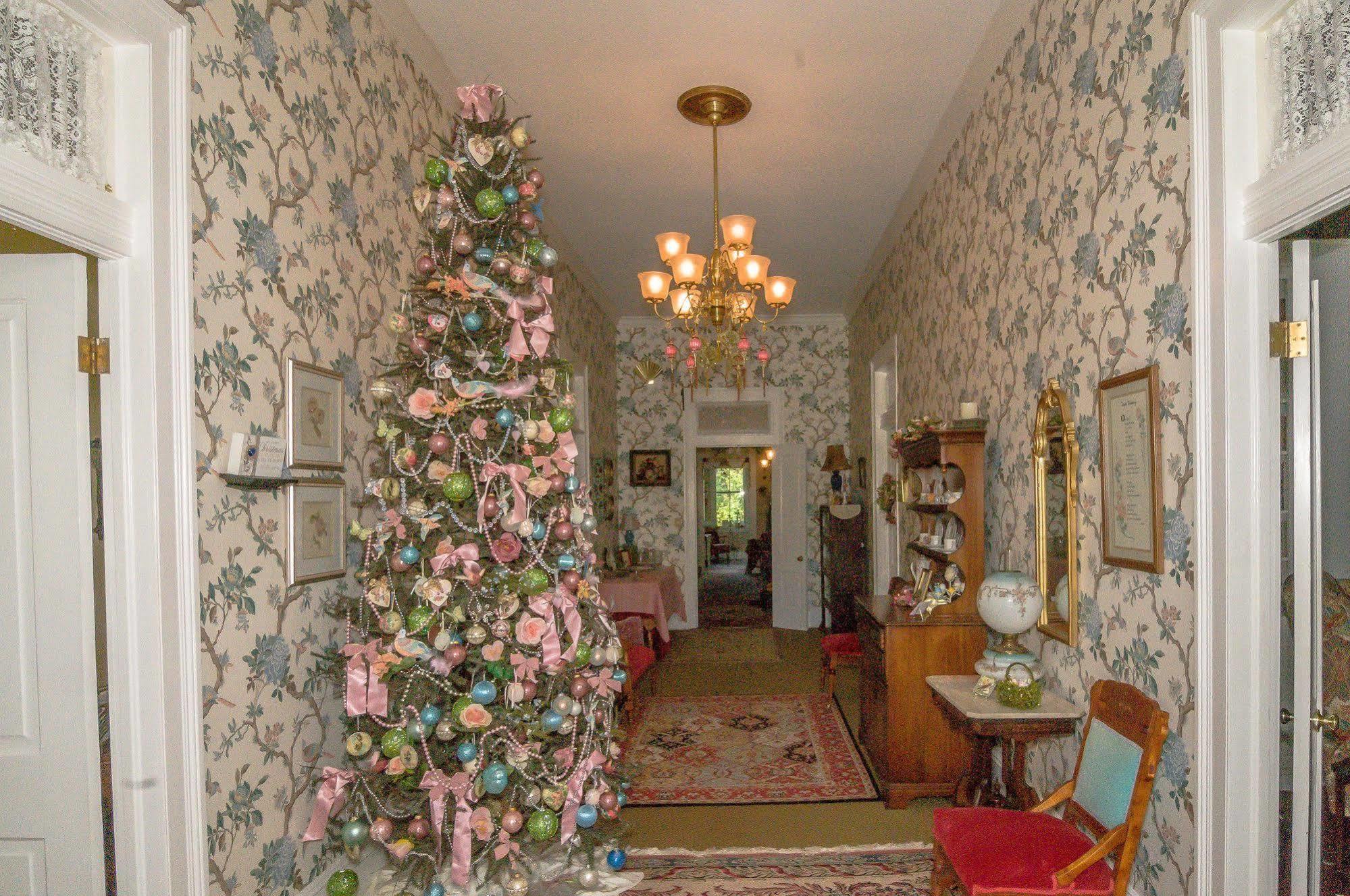 Bed and Breakfast Holly House Of Hamilton Esterno foto